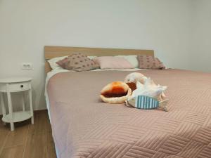 Vila Eva Marezige Koper