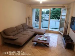 Spacieux 3 pièces sur jardin - Ivry-sur-Seine