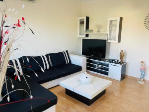 Sunshine beach apartment