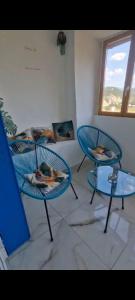 Appartements T2 avec vue magnifique : photos des chambres