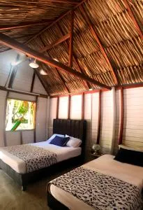 Palma Plata islas del Rosario - 格兰德岛