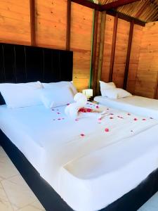 Palma Plata islas del Rosario