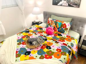 Langley Heights 2 Bedrooms Sweet Suite