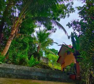 EntireHouse n Panglao FastWiFi AC HotShowers Netflix