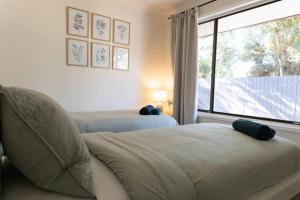 Newly renovated home near shops, m1, national forest & Koalas!