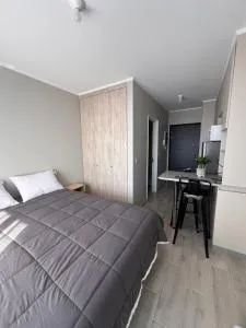 Departamento Estudio, Pitrufquén - Pitrufquén