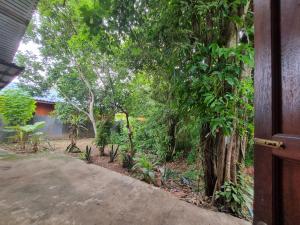 Cheeva Lodge ชีวาลอดจ์