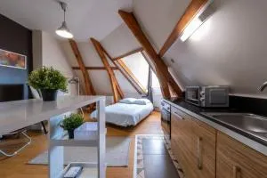 Saint -Louis 3 -centre ville-studette - Gien