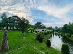 PASTRAVARIA ALINA - Sîrbi