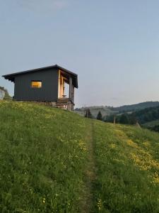 Котедж На Лузі