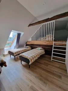 Reiu Rehetalu - Piirumi