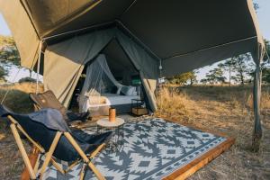 Kruger Untamed - Satara Plains Camp
