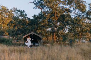 Kruger Untamed - Satara Plains Camp