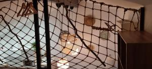 Appartements Appartement cosy 4 personnes : photos des chambres