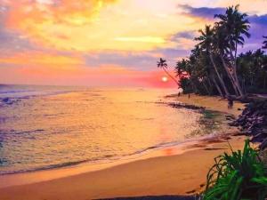 Bienvenido Cozy Madiha