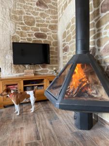 Maisons de vacances Gite l'Or des Cevennes : photos des chambres