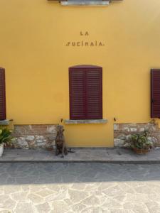 B&B La Fucinaia Pet Friendly Adults only