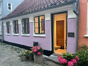 Historical and romantic house in town center - Gistrup