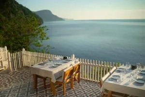 Sadef Akkonak - Filyos