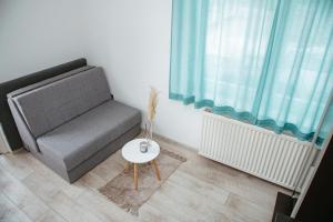 City Center Spacious Apartment Brandt