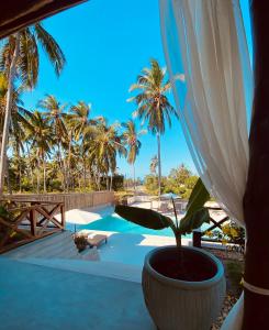 Dive Planet Mafia Island