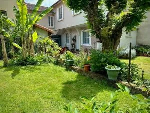 La terrasse fleurie - Boussens