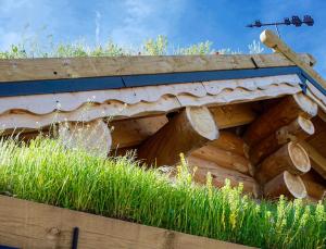 Chalets Oxygene : photos des chambres