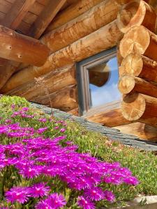 Chalets Oxygene : photos des chambres