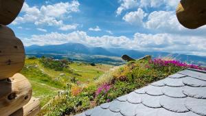 Chalets Oxygene : photos des chambres