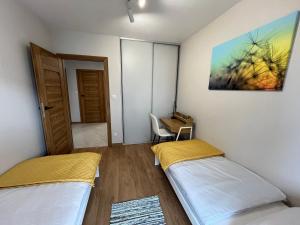 Apartament 45