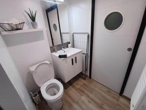 Appartements Le cocon des marais : photos des chambres