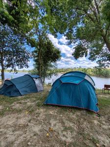 Holiday Camp