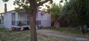 Korina house
