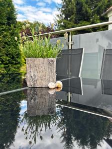 Gemütliche Ferienwohnung am Bach