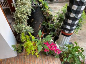 A Fantastic Roof Top City View at SUPERB Location in Jakarta