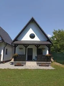 Zöld Tulipán - Ilyèsmezö