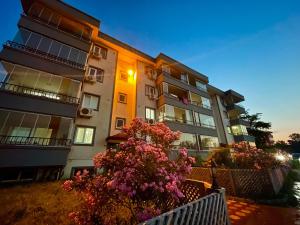 Ünye Kavaklar Holiday Houses