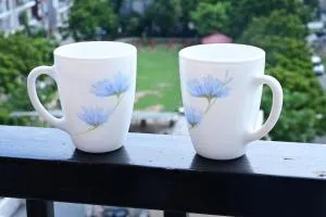 All in one place near to Mohali Airport - Mohali