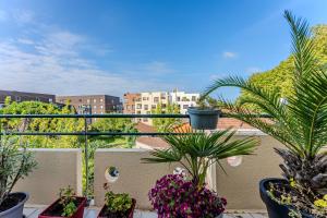 Appartements Petitbuch : Appartement Supérieur 1 Chambre