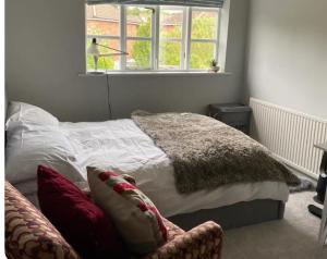 Luxury Central Hale living