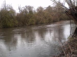 Appartements Aux chants des oiseaux : Chambre Double Supérieure
