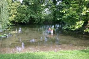 Appartements Aux chants des oiseaux : photos des chambres