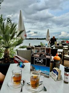 Ferienwohnungen Neuseenland