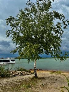 Ferienwohnungen Neuseenland