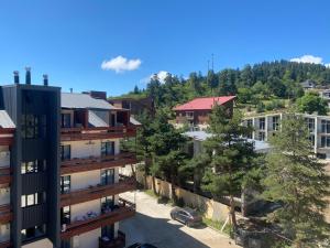 Bakuriani inn Apartment