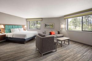 King Studio Suite - Non-Smoking room in Hampton Inn Spokane Airport
