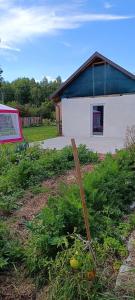 Agroturystyka Stasin