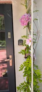 Apartament z widokiem na Zamek