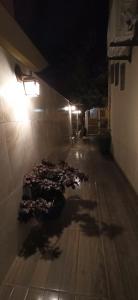 Residencial Lilly - Aptos de 1 e 2 Dorm.