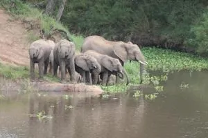 Simbini Sunset Cottage - Matsulu